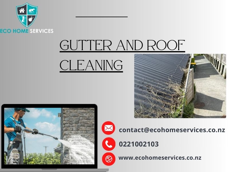What Chemicals Are Used By Eco Home?